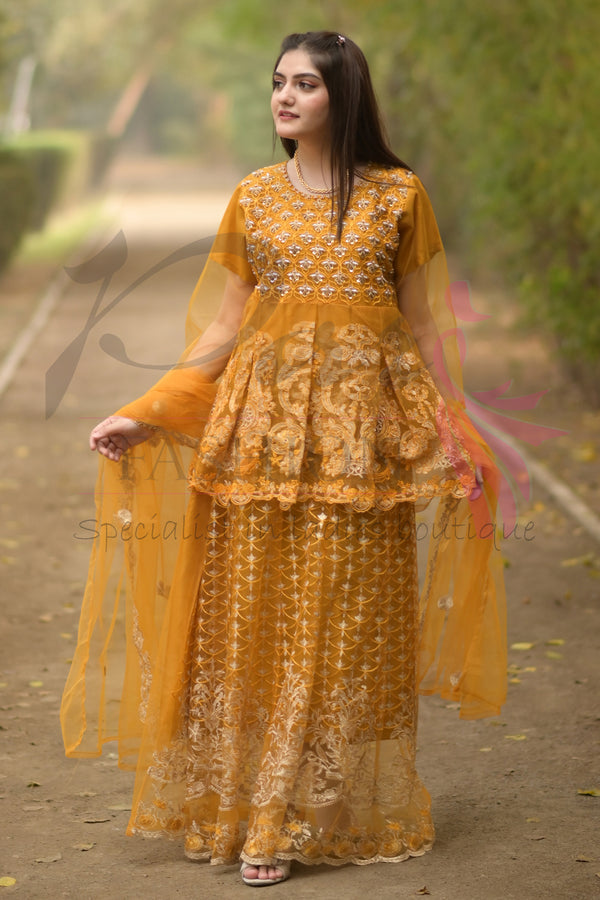 3PC Embroidered Net Dress
