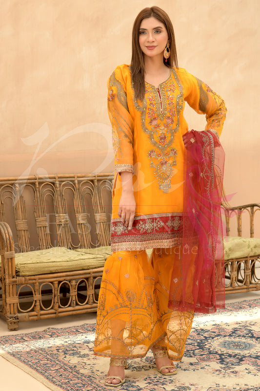 3PC Embroidered Organza Dress
