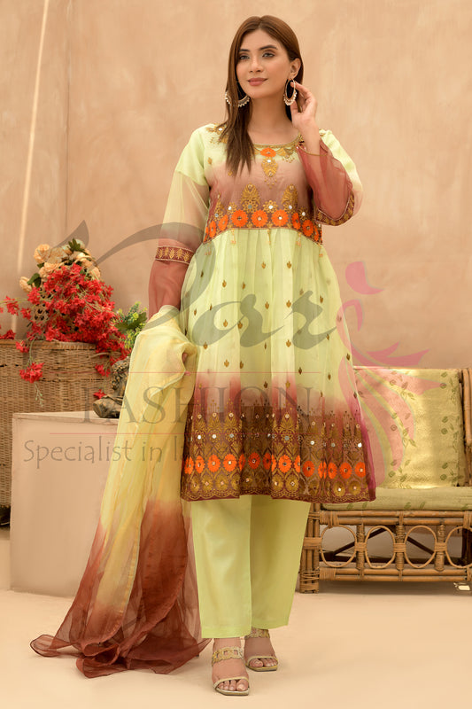 3PC Embroidered 3D Organza Dress