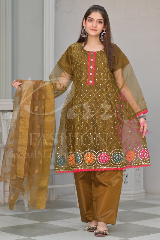3PC EMB Organza Dress