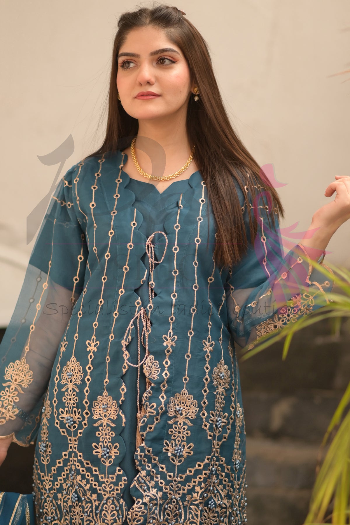 3PC Embroidered Organza Dress