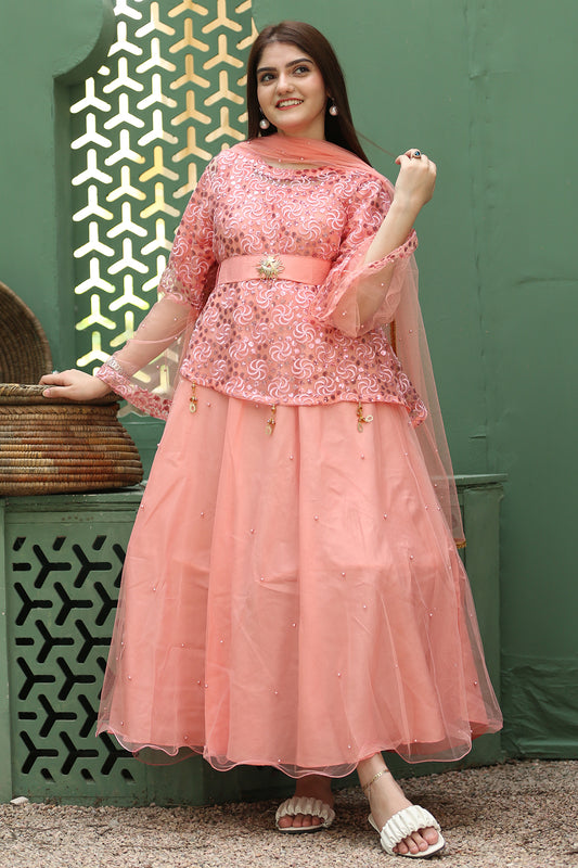 3PC Fancy Net Dress