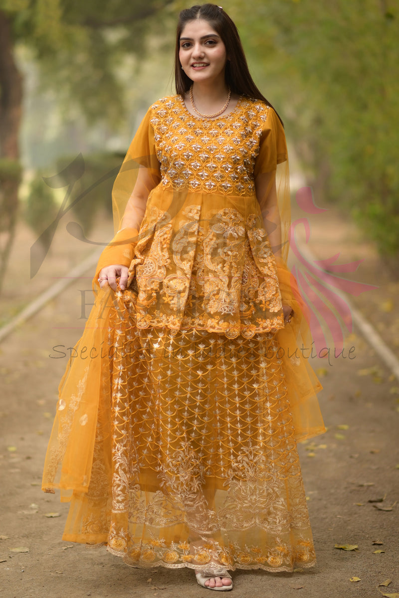 3PC Embroidered Net Dress