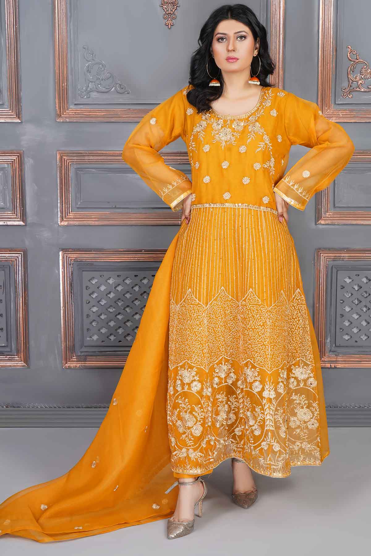Party Wear Maxi  (Organza)