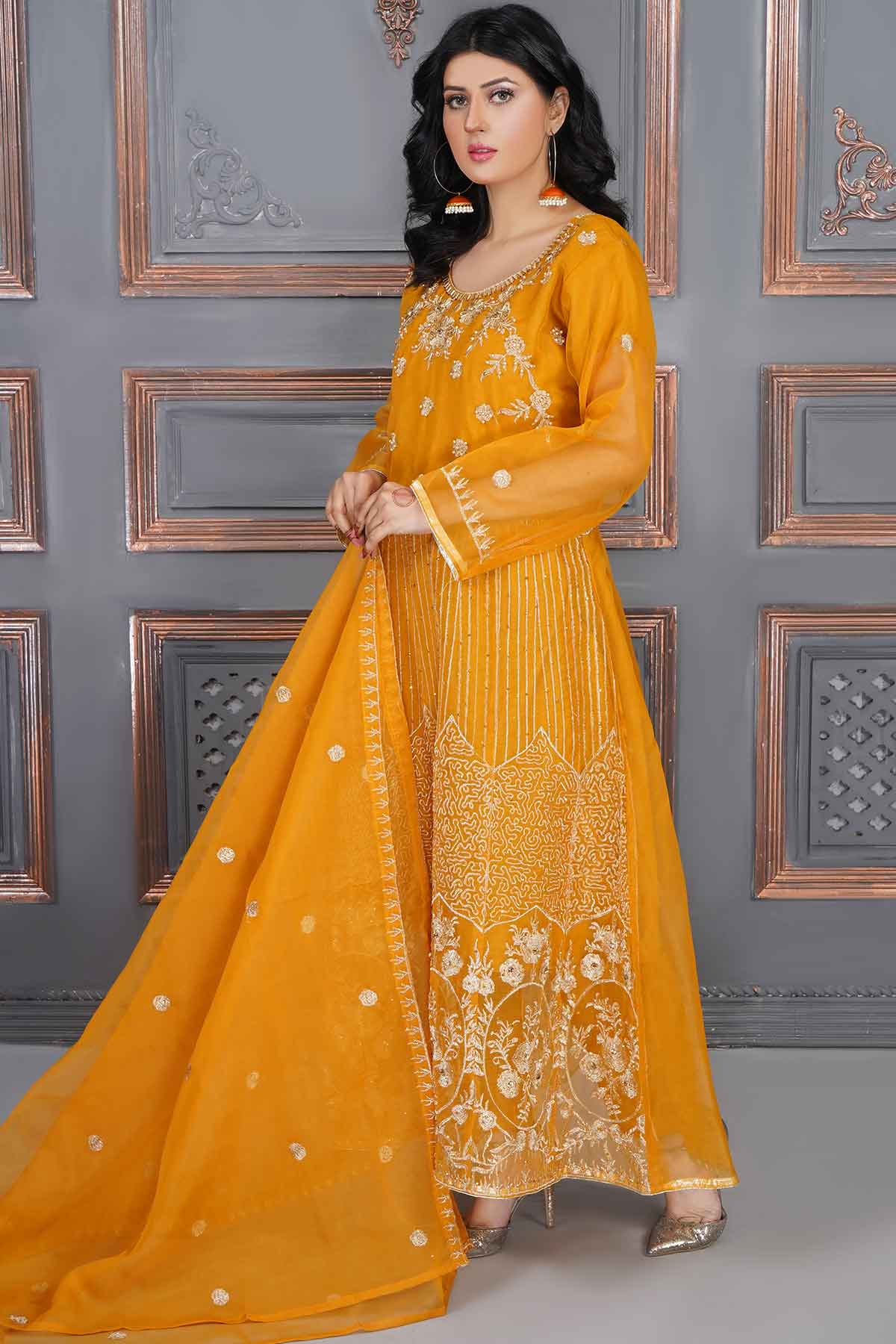 Party Wear Maxi  (Organza)