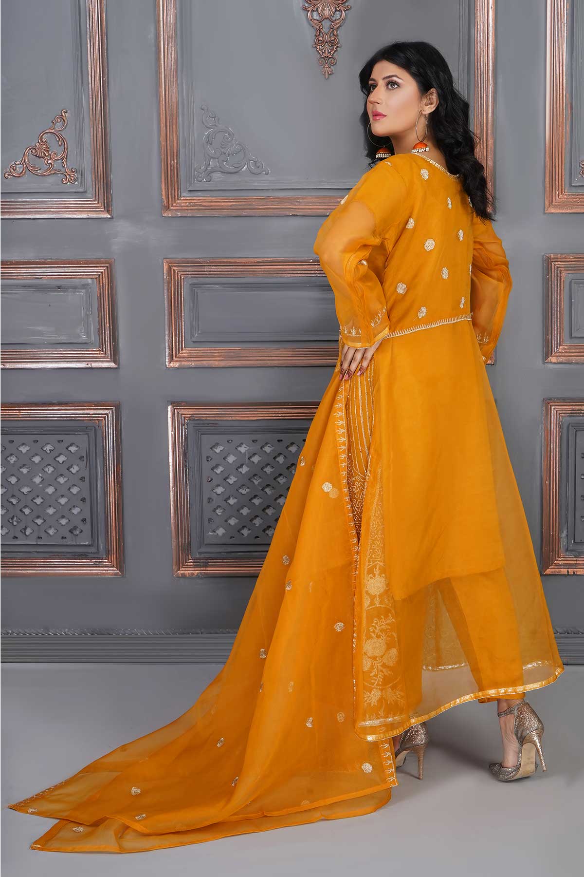 Party Wear Maxi  (Organza)