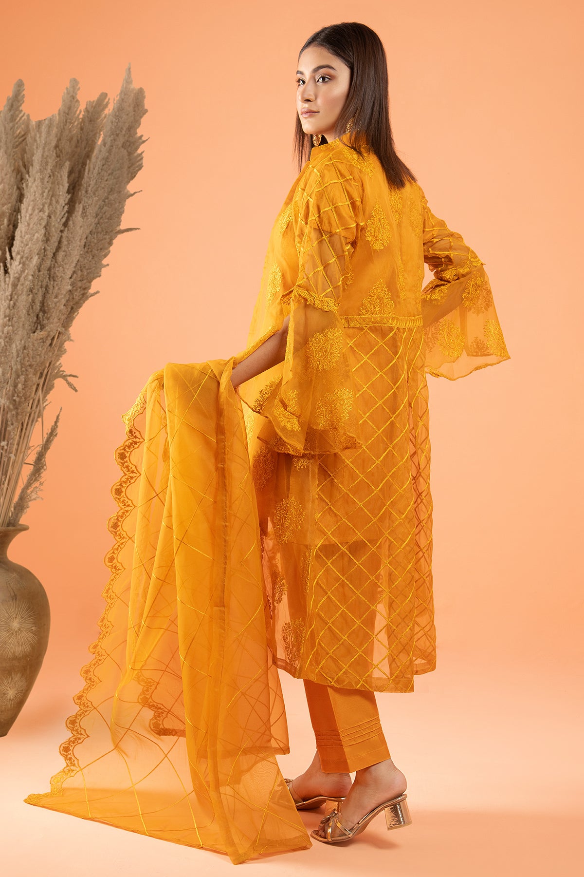 4PC Organza Dress
